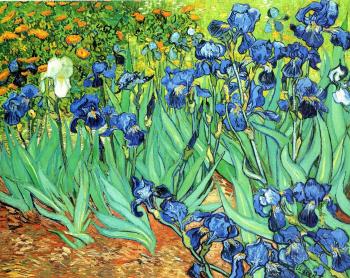 Vincent Van Gogh : Irises